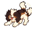 hikikopuppy