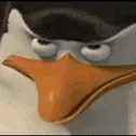 nicolas404