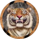 tiger_wolfyyyyy