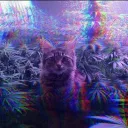 mf_haze