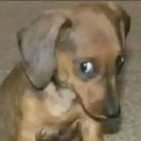Discord Avatar