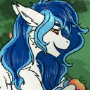 aurorarider