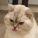 nnie
