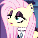 draco314