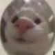 ukekette