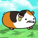 chiefoonga