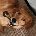 extremelydg