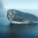 avatar Hαtý Lethe ⚡