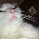 pip2718