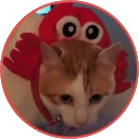 gamingwithjeff