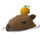 lucenia