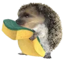 sonik.