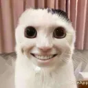 tijn1