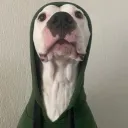 nitr0nome