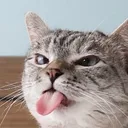 offmonreal