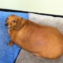 timmays