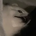 complexsketh