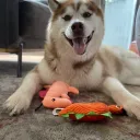 kezzapwnz