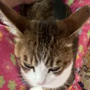 ggsareup