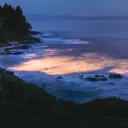 wild_iron