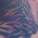 wolf.clan