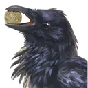 ravenpenny