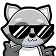 rynotheraccoon