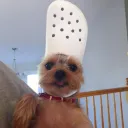 emilkagi