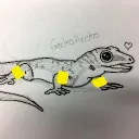 nz_gecko