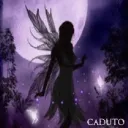 caduto11