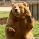 grizzlybeard