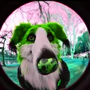 strawborzoi