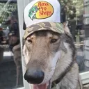 expanddoge