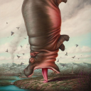 avatar ✠ I fw spiders