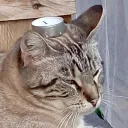 otherwwise