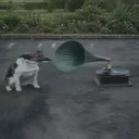 redned