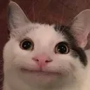 null04