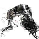 avatar vlr