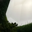 uselesskeed