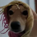 michelhora