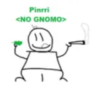 pinrri