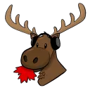 wallycanada