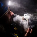lykos.inuk
