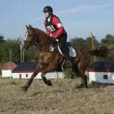 salenia