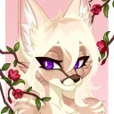 wildfyr