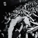 ivalive