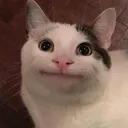 shmurkio