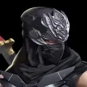 dragonninja