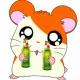 hamtakro