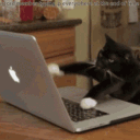 avatar ᲼᲼᲼᲼᲼᲼᲼᲼᲼᲼᲼᲼᲼᲼᲼᲼᲼᲼᲼᲼᲼᲼᲼᲼᲼᲼᲼᲼᲼᲼᲼᲼